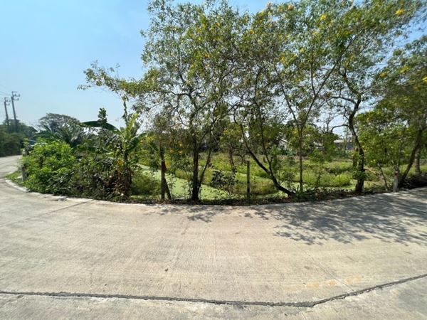 ขายที่ดิน 5-2-75 ไร่ ซอยบางกร่าง 59/6 เดินทางสะดวกทั้งทาง ถ.ราชพฤกษ์ และ ถ.บางกรวย-ไทรน้อยเมืองนนทบุรี